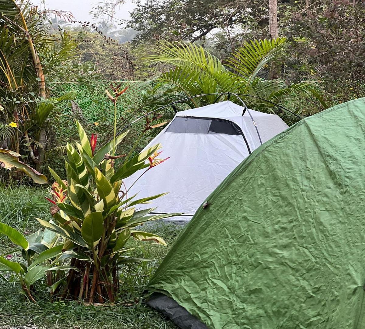 The Peace Hostel - Arambol, Goa מראה חיצוני תמונה